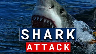 Insane Shark Attack | Deep Blue Sea 2 | Movie Clip | WATCH ADDICTS