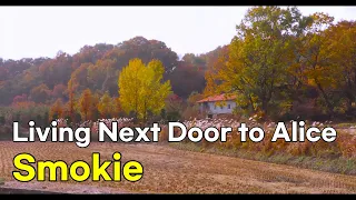 Smokie - Living Next Door to Alice (lyrics 번역가사)