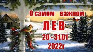 ЛЕВ. 20 - 31 января 2022г. Таро прогноз, гороскоп для Львов.