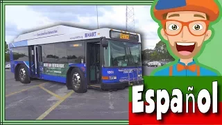 Video del Bus para Niños por Blippi Español | Videos Educacionales para Niños