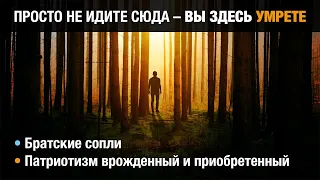 Братские сопли | Патриотизм врожденный и приобретенный | Просто не идите сюда - вы здесь умрете