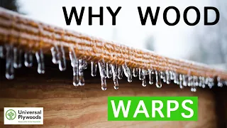 Why WOOD WARPS & CUPS -  and How to STOP IT -  Universal Plywoods