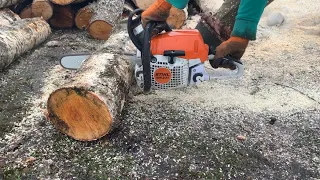 Бензопила STIHL MS 231 🔥 Заготовка дров. Берёза