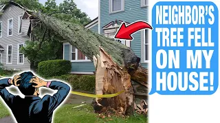 Neighbor's Tree Destroyed My Property .. $300,000 In Damages! r/NeighborsFromHell
