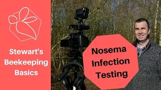 Nosema Infection - Practical Identification and Treatment