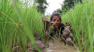 Survival skills: Find Catch frogs for Food at the fields - Cooking frogs spicy for food of survival