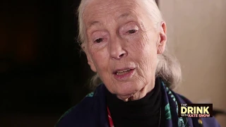 Dr. Jane Goodall On a Lifetime of Studying Animals