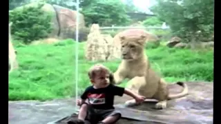 Дети и звери имеют одинаковый уровень развития Прикольные моменты в зоопарке! 2015
