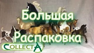 CollectA Horses/РАСПАКОВКА/Новые лошади коллекта