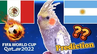 Qatar 2022 ⚽ I Argentina vs Mexico I Magic prediction with Parrot I Qatar world cup