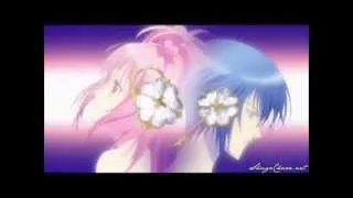 Bad Boy-Amuto (Amu and Ikuto)