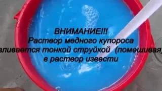 Бордоская смесь. Готовим правильно!