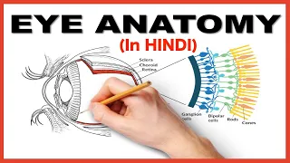 Eye Anatomy and Physiology Simplified (in Hindi)