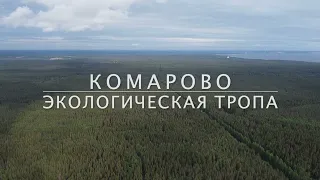 Комарово. Экологическая тропа.