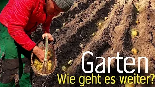 Garten im Mai 2022