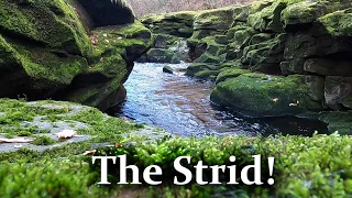 The Most Dangerous Stretch of River in the World?  The Strid.