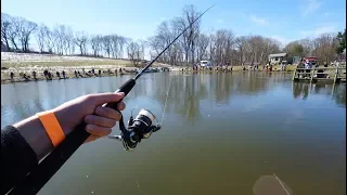 My First Trout Fishing Tournament!! (Craziness)