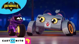 Meet Catwoman’s car Kitty | Batwheels | Cartoonito Africa