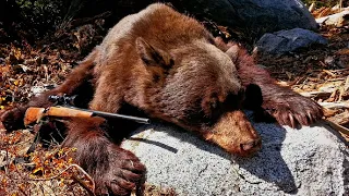 Bear Hunting 2016 - California - 7mm mag - Black Bear - Close Quarters Tracking 🐻