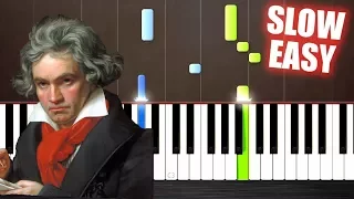 Beethoven - Fur Elise - SLOW EASY Piano Tutorial by PlutaX