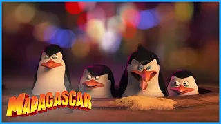 DreamWorks Madagascar | 'We Are In Dublin Ireland!' | Penguins of Madagascar Clip