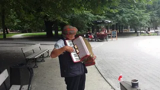 Akordeonista w Ogrodzie Saskim