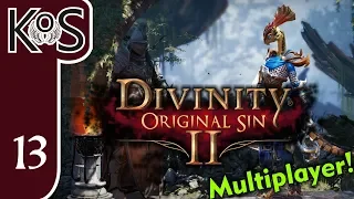 Divinity: Original Sin 2 Ep 13: BIRDIE NUM NUM - Multiplayer Coop DoS2 - Let's Play, Gameplay