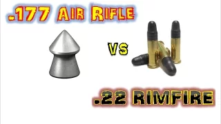 How "DEADLY ACCURATE POWERFUL" Are Modern Day Air Rifles?pt12