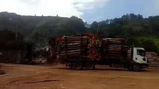 medida de entrada de madeira