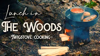 Outdoor Cooking in the Woods - Finally using my Robens Twig Stove