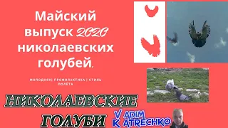 Майский выпуск о николаевских голубях с подробностями