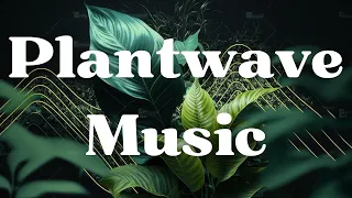 Earth Day Special - Plantwave Music "Chloro-Ethereal" - Relaxing Music made by Plants.