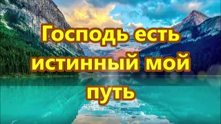 Господь есть истинный мой путь, ведущий к светлым небесам. (Песнь Возрождения 881)