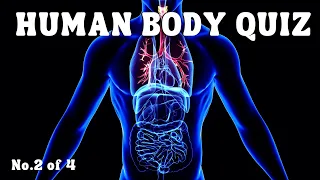 Can You Pass This Human Body Quiz?  Quiz No.2 of 4