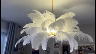 VAXLAMP Ostrich Feather Chandelier Unboxing Review Video