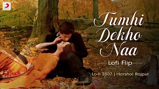 Tumhi Dekho Naa - Lofi Flip | @lofi2307 | Bollywood Lofi | Kabhi Alvida Naa Kehna | Sony Music India