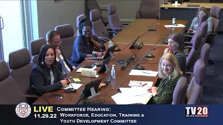 Workforce, Education, Training and Youth Development Committee, November 29, 2022