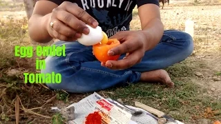 Cook An Egg Omelette In A Tomato | Rare Recipe | Wild Survival Stylerare recipe | CookFunz