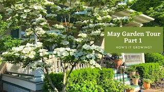 May Garden Tour, Part 1 - Roses and more! 🌹How’s It Growing?