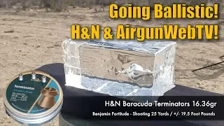 Small Bore Airgun Ballistics – Benjamin Fortitude 22 and H&N Pellets Going Ballistic on AirgunWebTV