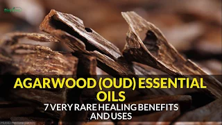 7 Benefits of the Truly Rare Agarwood Essential Oil