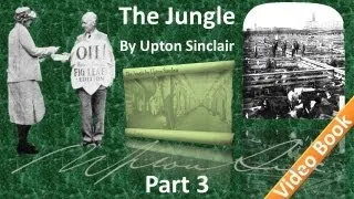 Part 3 - The Jungle Audiobook by Upton Sinclair (Chs 08-12)