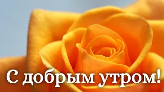 ❤️❤️❤️ПОЖЕЛАНИЕ НА ВЕСЬ ДЕНЬ❤️❤️❤️ С Добрым Утром Хорошего Дня. Доброе Утро! СТИХ