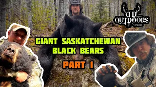 2022 Giant Saskatchewan Black Bear Hunting Part 1