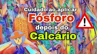 Aplicar calcário e logo depois o fósforo, o que acontece no solo?