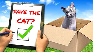 Rescuing Homeless Cats in Animal Shelter Simulator!