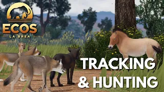ECOS: LA BREA | Tracking & Hunting