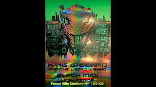 King Gizzard And The Lizard Wizard- 10/21/22- Forest Hills Stadium- Queens, NY- Full Set- AUDIO ONLY