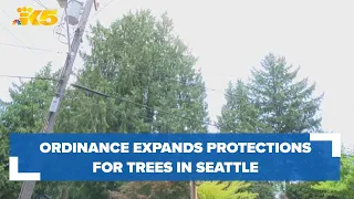Ordinance expands protections to more trees in Seattle
