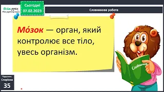 Що таке нервова система